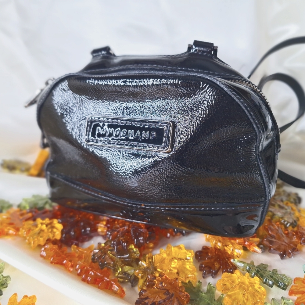 Longchamp small purse
